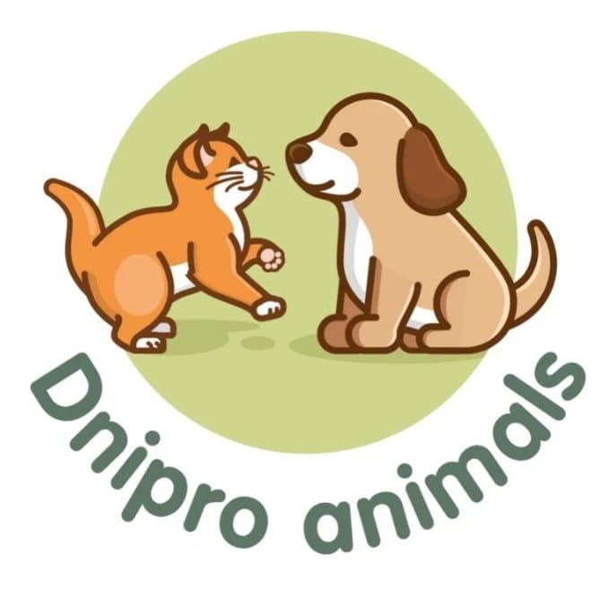 DniproAnimals